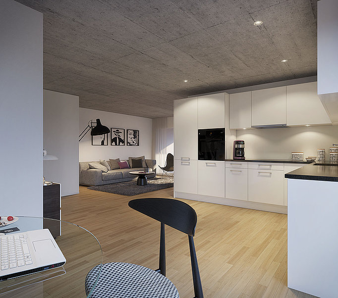 Neubau und Renovation