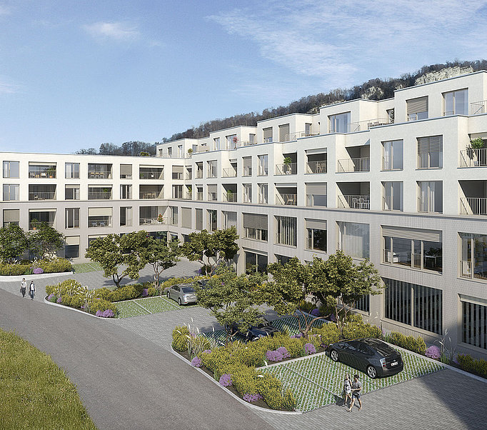 Neubau und Renovation